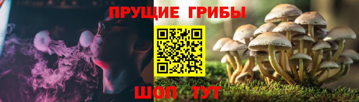 дарнет шоп  Галлюциногенные грибы мухоморы  Вход с VPN  Белорецк 
